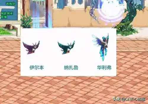 dnf撒共宠物外观(DNF撒共现在还能进化吗)插图6