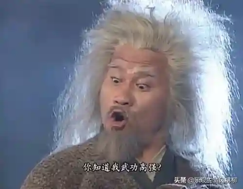 九阴真经武学排名(九阴真经包含什么武功)插图12