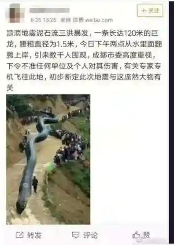 四川地震55米巨蟒(老虎被巨蟒活吞的视频)