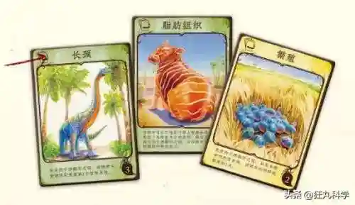 生物进化游戏(类似物种起源的进化游戏)插图12