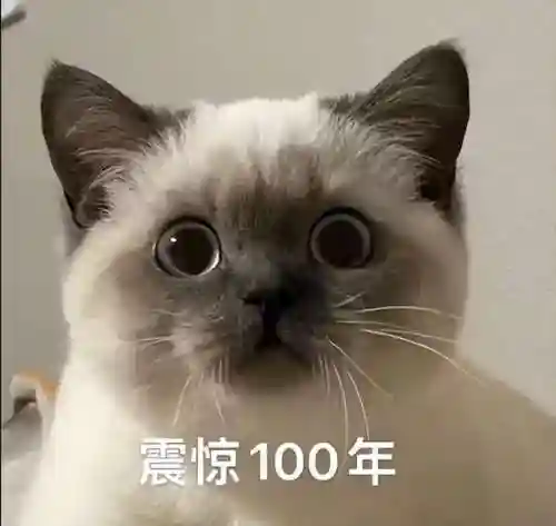 球球大作战游戏(球球大作战正版官网下载)插图5