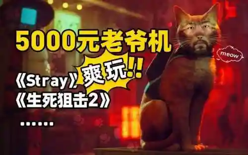 大型单机狙击游戏(打枪闯关的单机游戏)