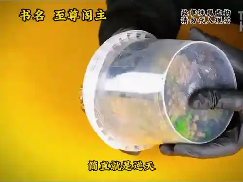 至尊斗罗阵容搭配(新斗罗大陆平民最强阵容搭配)插图2