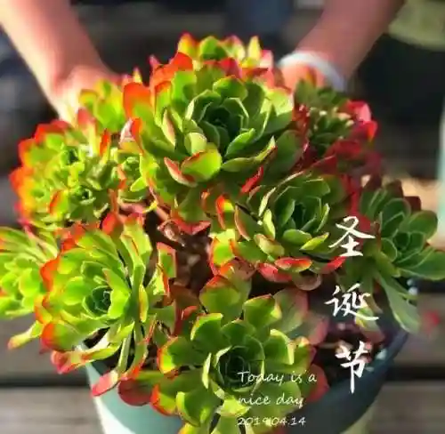法师最牛最霸气名字(一眼就看出是玩法师的ID)插图61