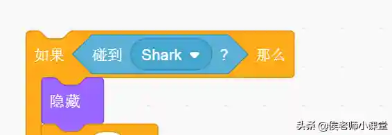 鲨鱼吃小鱼的游戏(鱼吃鱼游戏投诉电话)插图7