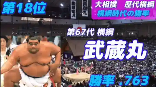 相扑力士阵容搭配图片大全(云顶之弈最新斗士阵容搭配)插图1