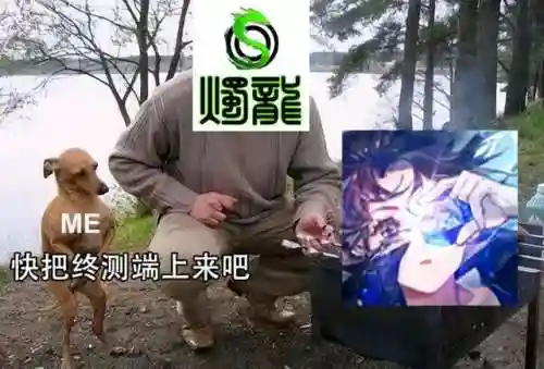 烛龙王牌竞速阵容搭配(木鹿大王最强阵容)插图17