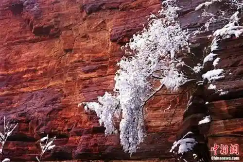 战国英雄手游版烈焰飞雪(新战国英雄有手游吗)插图19