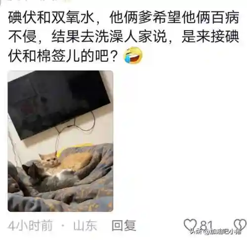 猫咪最新永久地域网名(猫咪的最新网名自动跳转)插图13 猫咪最新永久地域网名(猫咪的最新网名自动跳转)插图13