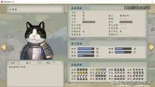 太阁立志传5最漂亮的姬(太阁立志传5娶妻列表)插图31