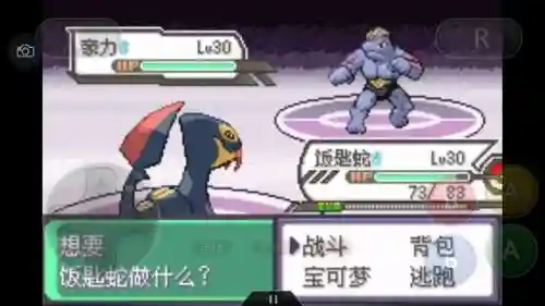口袋妖怪绿宝石493(绿宝石493所有精灵分布)插图65