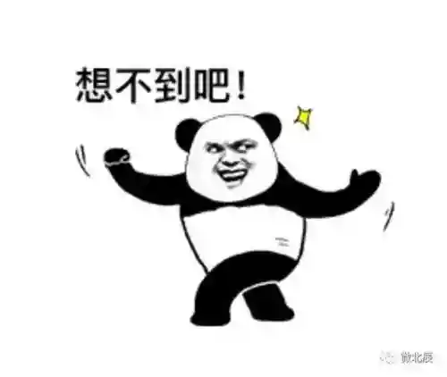北辰软件库(北辰车库合集软件资料网站)插图17 北辰软件库(北辰车库合集软件资料网站)插图17