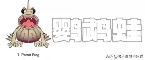 地下城守护者2怪物介绍(地下城守护者2最后一关怎么过)插图21