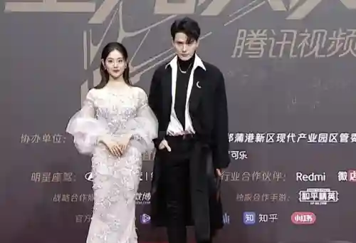 星光红毯阵容搭配图片(明星红毯造型图片)插图25