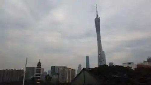 口袋精灵2手机版(口袋精灵复刻官方正版下载)插图18