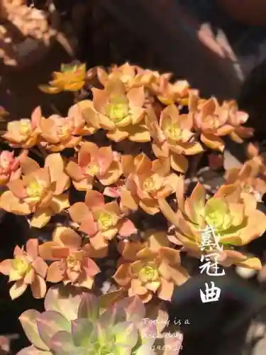 法师最牛最霸气名字(一眼就看出是玩法师的ID)插图73
