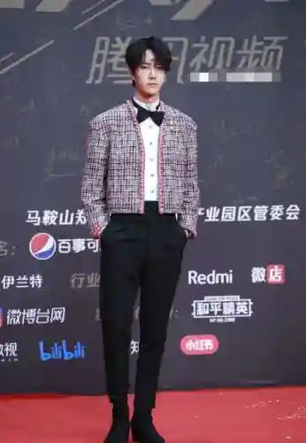 星光红毯阵容搭配图片(明星红毯造型图片)插图14