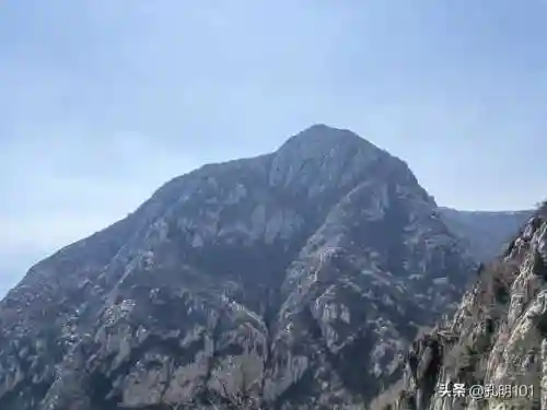 仙境游记推荐阵容搭配(歧路旅人2阵容搭配)插图21