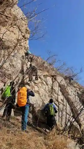 仙境游记推荐阵容搭配(歧路旅人2阵容搭配)插图6