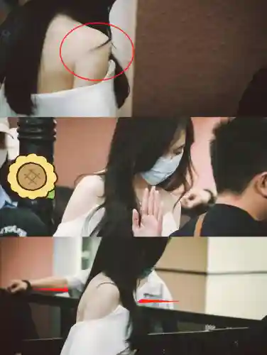 双排护卫阵容搭配(蜀盾最强阵容搭配)插图9
