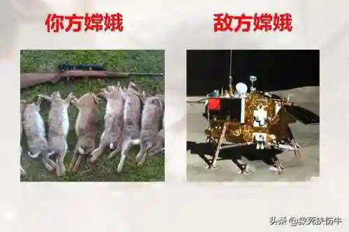 敌我英雄阵容搭配图片(英雄联盟最新下棋阵容)插图1
