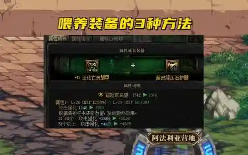 dnf装备如何喂养(dnf多余的宠物装备怎么处理)