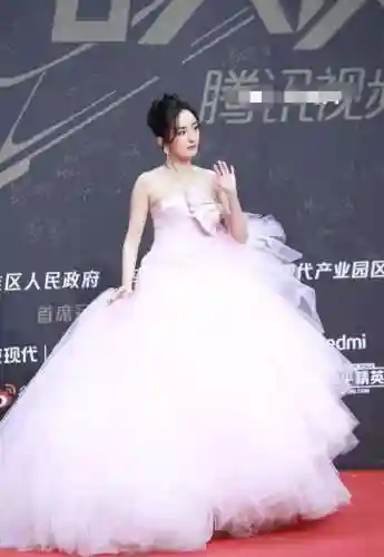 星光红毯阵容搭配图片(明星红毯造型图片)插图11