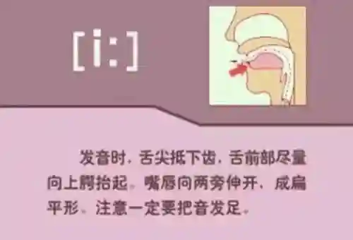 英语音标发音表(48个音标大全表图片)插图12