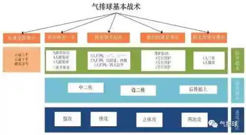 排球的基本战术阵容搭配(排球四种基本战术)插图4
