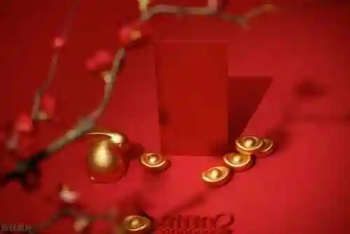 斗战神龙女加点2023(斗战神龙女什么系厉害)插图2