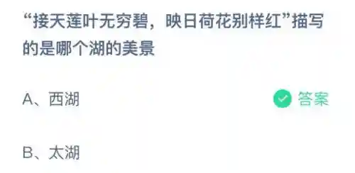 接天莲叶无穷碧蚂蚁庄园(蚂蚁庄园今天答案)