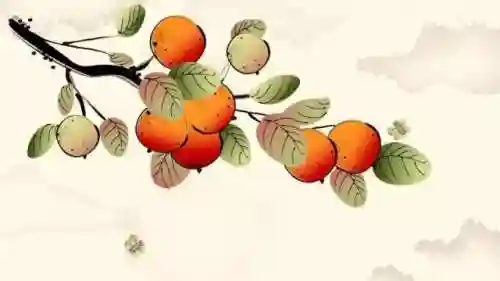 天残拾芳录(万世芬芳录)插图3