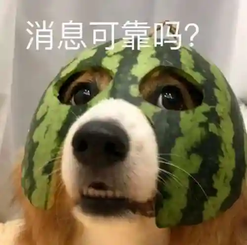 2022王者无限火力最新版软件(王者荣耀无限技能模式)插图2