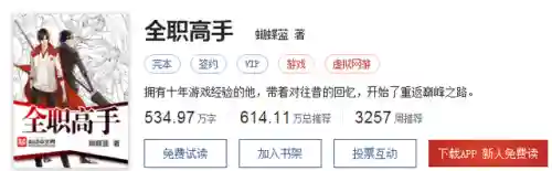 网游之屠龙巫师(十大公认神级网游小说)