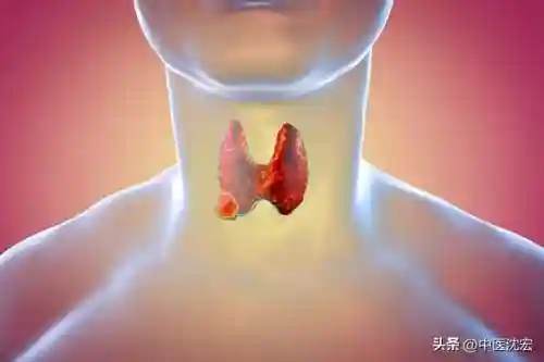 逍遥丸有什么功效(女性常吃逍遥丸的好处)插图7
