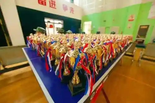 全民格斗强子阵容搭配(格斗家配什么阵容)插图10