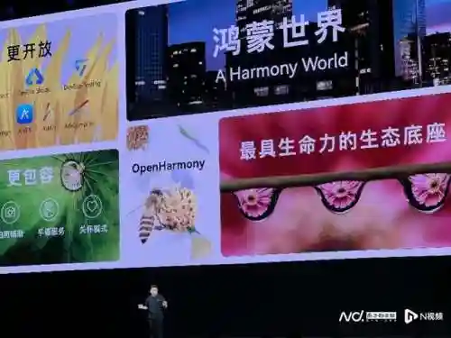 华为共建鸿蒙世界(先有鸿蒙后有天,华为)