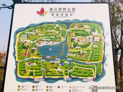 洛克王国紫藤快速获得(洛克王国紫藤150怎么弄)插图1