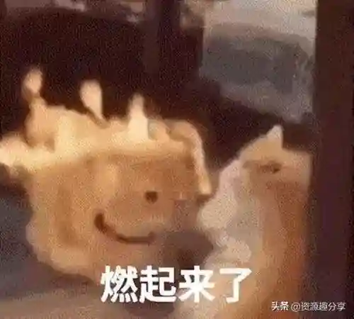 40个顶级搞笑笑话(积极向上正能量的幽默笑话)插图2