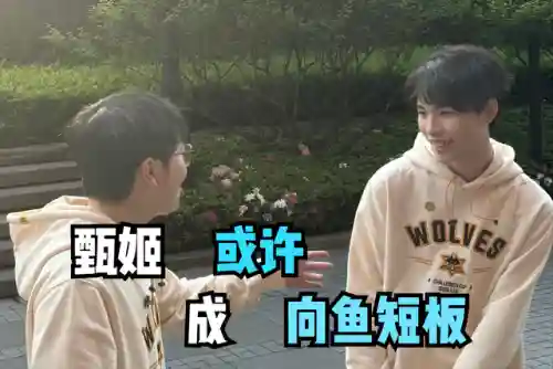 李信首发阵容搭配(韩信适合什么阵容)插图2