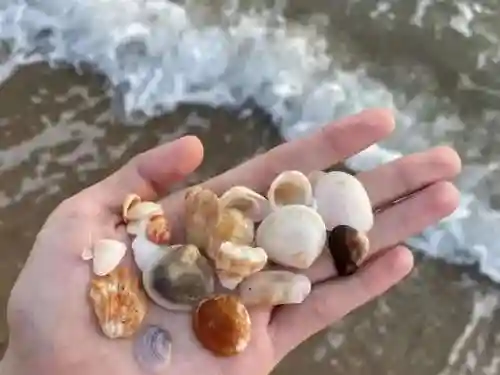 梦幻海岛阵容搭配图(海洋王国手游阵容推荐最新)插图5