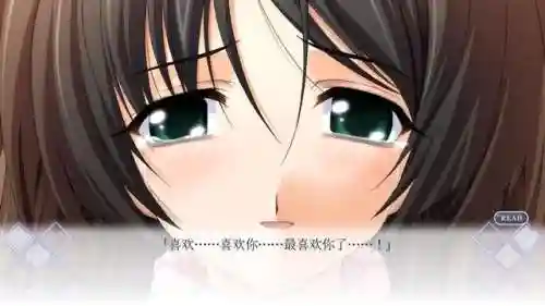 秋之回忆4攻略(秋之回忆4哪条线最好)插图2