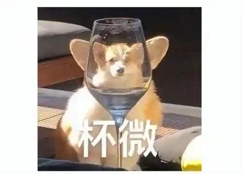 dnf手游几号正式公测(2024DNF手游公测时间)插图16