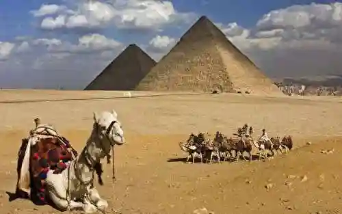 金字塔逃亡(PyramidRun金字塔逃亡)