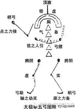 合作五弓阵容搭配(闭月弓最强阵容搭配)