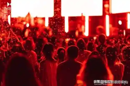 乐队的海边阵容搭配(沙滩小屋乐队)插图30
