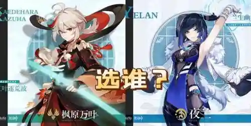 原神夜阑搭配阵容(多多自走棋神法阵容)插图7