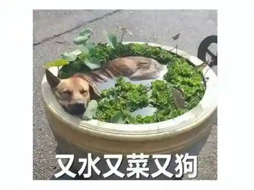 暗黑破坏神新服(暗黑不朽互通列表2023)插图13