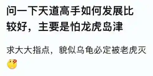 信长之野望13教练攻略(信长之野望13战法排名)插图1