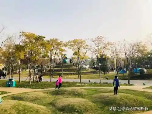洛克王国紫藤快速获得(洛克王国紫藤150怎么弄)插图58